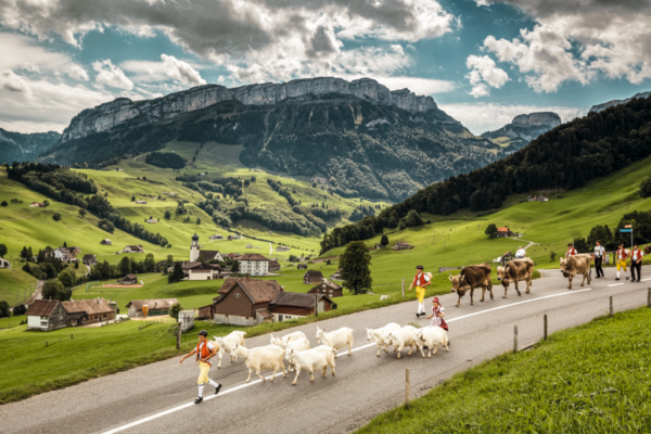 Switzerland Tourism Jan Geerk ST_3x2_Schwende-Alpabzug_54529