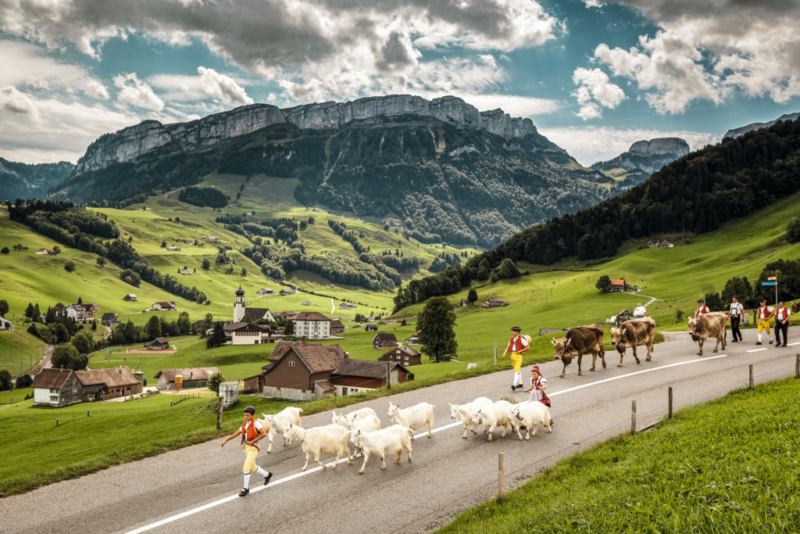 Switzerland Tourism Jan Geerk ST_3x2_Schwende-Alpabzug_54529
